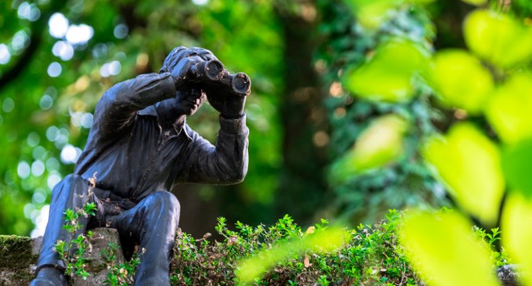 Acoso y sus variables en el código penal