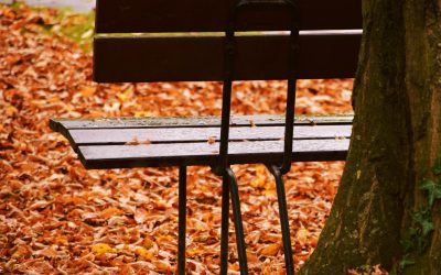 Jubilación anticipada: que no se te escape nada